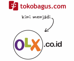 Alternative OLX